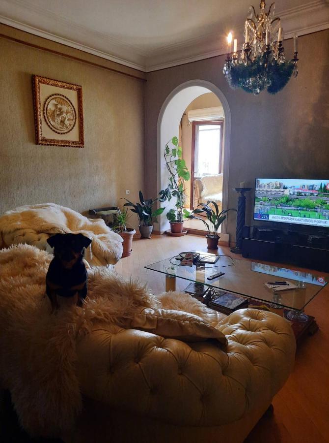Tbilisi Philharmonia Apartment מראה חיצוני תמונה