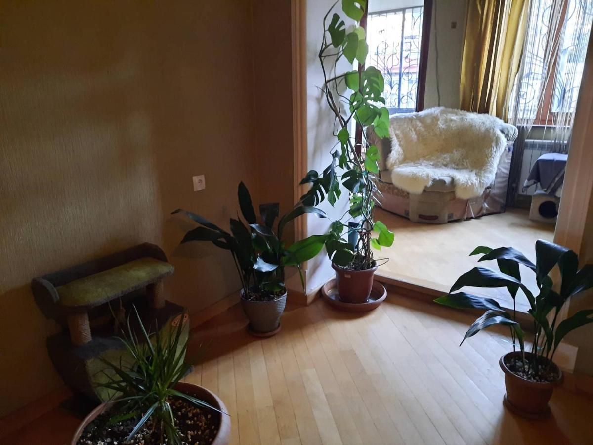 Tbilisi Philharmonia Apartment מראה חיצוני תמונה